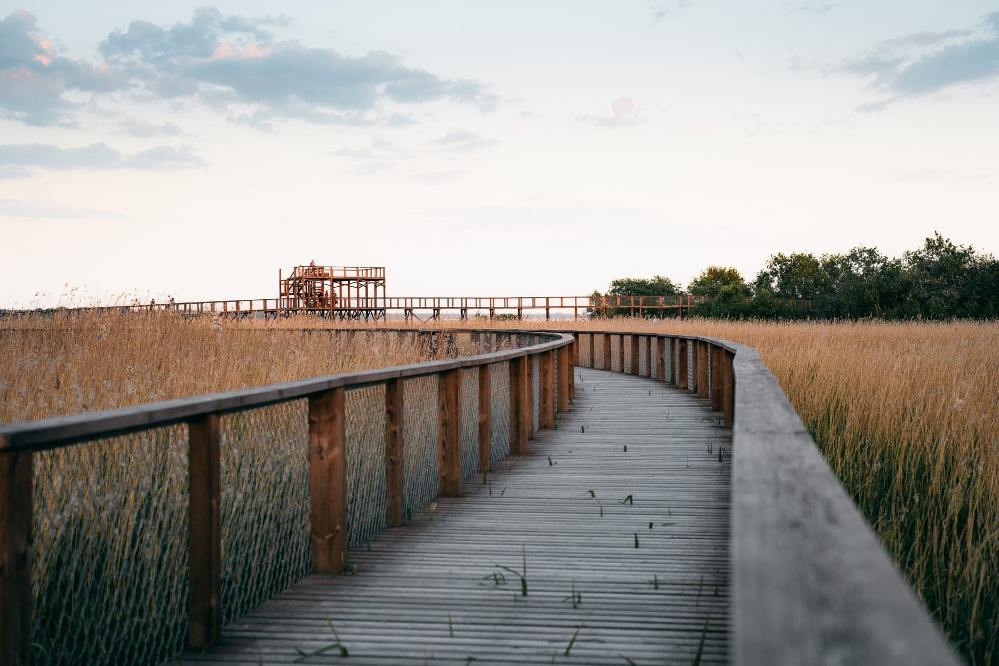 Up the coast to Tallinn, by way of Pärnu