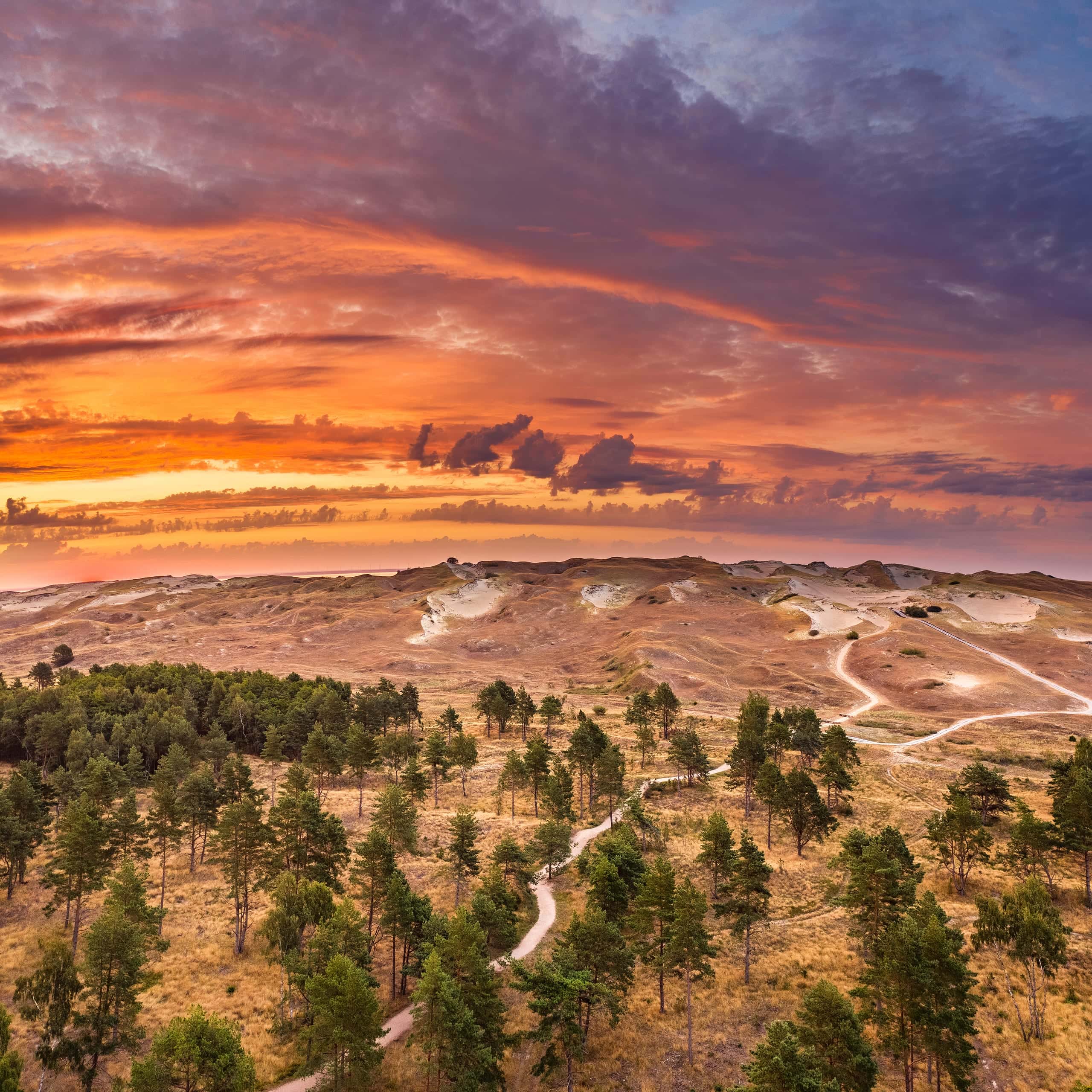 The Curonian Spit by bike